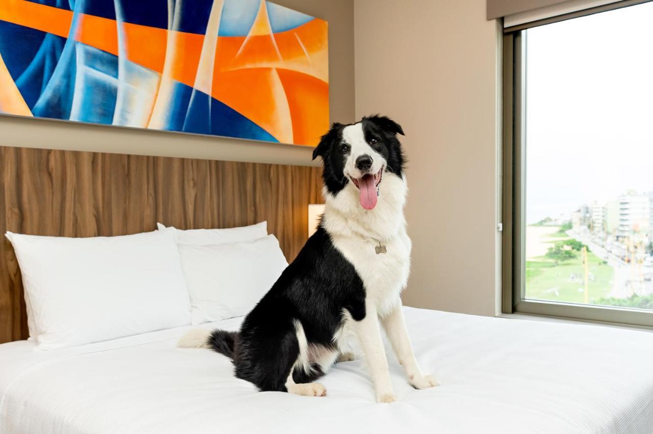 Hyatt Place Macaé Eksteriør bilde